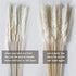 ManYmbyan 40Pcs Pampas Grass,18in Dried Pampas Grass Decor for Home Kitchen Wedding Flower Arrangement and Vase Fillings(White)