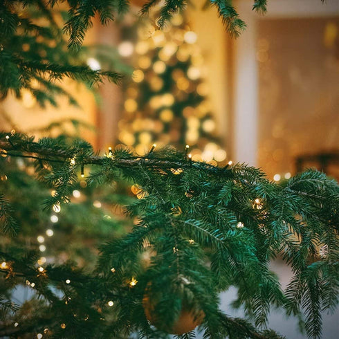 Haili 105ft 300 LED Christmas Tree Lights Outdoor Waterproof,Indoor Fairy Twinkle String Lights UL Certified 8 Modes for Christmas Decoration, Wedding, Party, Patio, Garden Warm White
