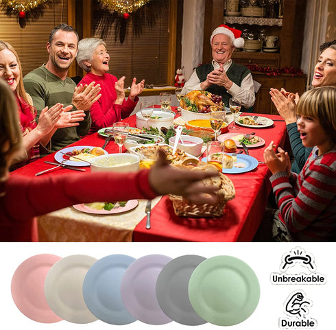 Wheat Straw Plates Set of 6, Unbreakable Plate Set with 2 Loofah Dish Sponges, Lightweight Great for Party / Picnic / Camping / BBQ / Pizza, BPA-Free, Microwave-Safe (6 Colors, 10 inches)