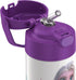 THERMOS FUNTAINER 12 Ounce Stainless Steel Vacuum Insulated Kids Straw Bottle, Frozen 2