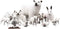 TMORU Arctic Animal Figures, 11 Pcs Realistic Polar Bear Figurines Set, Birthday Cake Toppers Toy Gift for Kids