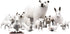 TMORU Arctic Animal Figures, 11 Pcs Realistic Polar Bear Figurines Set, Birthday Cake Toppers Toy Gift for Kids