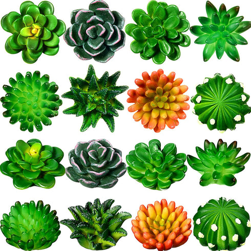 16 Pieces Cactus Succulent Refrigerator Magnets Plant Fridge Magnets Funny 3D Resin Stickers for Office Kitchen House