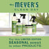 Mrs. Meyer's Clean Day Room Freshener, Iowa Pine, 8 Fl Oz (Pack of 1)