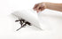 Cricut - 2002363 Vinyl Transfer Tape, 12X48, Standard Grip