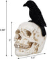DR.DUDU Raven on Skull Halloween Decoration with LED Lights, Gothic Crow Perching on Skeleton Resin Figurine Haunted House Statue for Tabletop Desk Home Office Decor