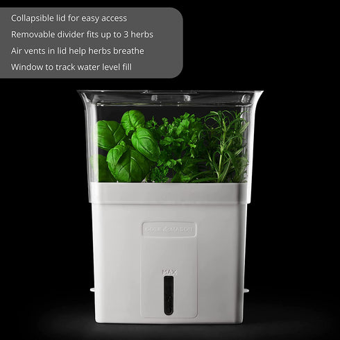 COLE & MASON Fresh Herb Keeper, Container, Clear
