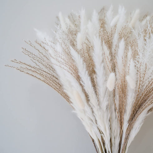 70 Pcs | 35 Pcs White Pampas & 10 Pcs White Bunny Tail & 20 Pcs Reed Grass 5 Pcs White Reed/Natural Dried Pampas Grass for Flower Arrangements Home Decor