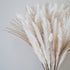 70 Pcs | 35 Pcs White Pampas & 10 Pcs White Bunny Tail & 20 Pcs Reed Grass 5 Pcs White Reed/Natural Dried Pampas Grass for Flower Arrangements Home Decor