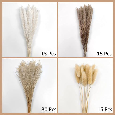 Total 75Pcs Natural Dried Pampas Grass Decor 17Inch,15Pcs White Pampas,15Pcs Brown Pampas,15Pcs Fluffy Bunny Tails Pampas Grass,30Pcs Reed Grass, for Flower Arrangements Boho Wedding Home Decor