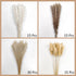 Total 75Pcs Natural Dried Pampas Grass Decor 17Inch,15Pcs White Pampas,15Pcs Brown Pampas,15Pcs Fluffy Bunny Tails Pampas Grass,30Pcs Reed Grass, for Flower Arrangements Boho Wedding Home Decor