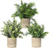 SUNJOYCO 3 Pack Mini Fake Plants, Artificial Potted Plants Faux Greenery Eucalyptus Rosemary Plants for Home Office Table Desk Shower Kitchen Shelf Bedroom Bathroom Decoration Indoor Outdoor Decor