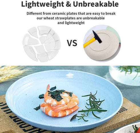 6 PACK 10 Inch Lightweight Wheat Straw Plates, SGAOFIEE Unbreakable Wheat Straw Plates, Reusable Plate Set, Dishwasher & Microwave Safe, Healthy for Kids Children & Adult