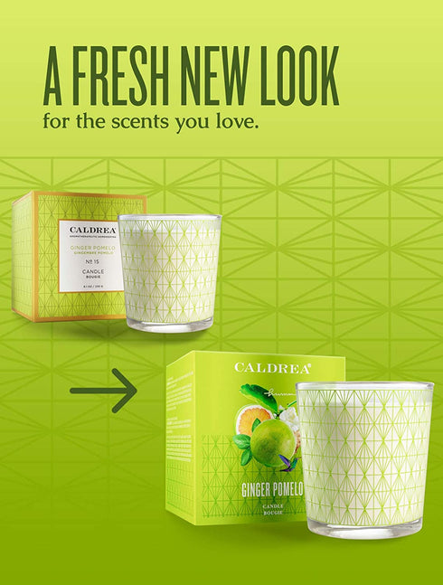 Caldrea Scented Candle, Made with Essential Oils and Other Thoughtfully Chosen Ingredients, 45 Hour Burn Time, Ginger Pomelo Scent, 8.1 oz (Packaging May Vary)