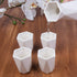 5 Piece Traditional Japanese Sake Set, 1 Tokkuri Bottle and 4 Ochko Cups, White - Unique Custom Modern Design