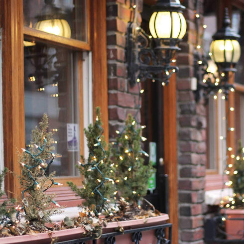 Clear Christmas String Lights 100 Count 26.5 Feet Incandescent Bulb Mini Lights for Indoor Xmas Tree Garland Birthday Wedding Party Festival Decoration, 2 Pack Green Wire