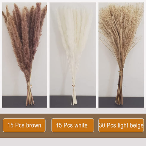 60 Pcs | 15 Pcs White Pampas & 15 Pcs Brown Pampas & 30 Pcs Reed Grass/Natural Dried Pampas Grass for Flower Arrangements Home Decor