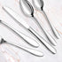 Silverware Set,Bonasen 20-Piece Silverware,Flatware Serving Set,Stainless Steel Silverware Set, Flatware Cutlery Set,Include Knife/Fork/Spoon, Mirror Polished
