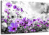 Modern Purple Flowers Canvas Art Wall Decor Black and White Framed Galsang Floral Prints and Posters Wall Hanging Decorations Ready to Hang for Bedroom Bathroom (Purple, 16x24inx1)