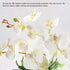 YOBANSA Orchid Bonsai Artificial Flowers with Imitation Porcelain Flower Pots Phalaenopsis Fake Flowers Arrangements for Home Decoration (White 1)