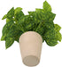 Hisow Artificial Potted Plants, 13" Faux Green Leaves Fake Plant with Natural Stone and Cement Pot Artificial Plants for Home Office Indoor and Room Decorations (A)