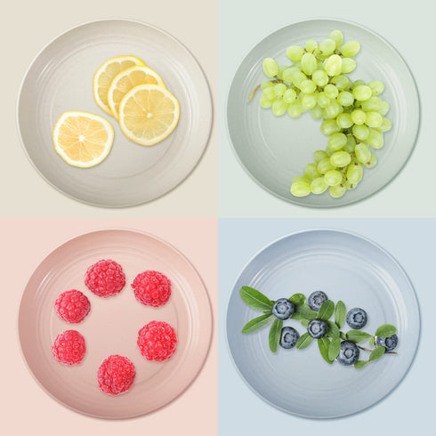 8 Pack Plastic Plates Reusable, OAMCEG 10 Inches Unbreakable Eco-Friendly Lightweight Wheat Straw Plates, Salad Plates, Camping Plates, Dinner Plates, Dishwasher & Microwave Safe, BPA FREE
