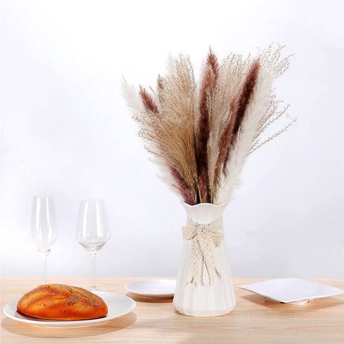 ManYmbyan Natural Dried Pampas Grass 65pcs 15pcs White&15pcs Brown&35pcs Reed Grass Plumes Decor Flower Arrangement and Vase Fillings