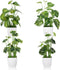 4pcs Small Fake Plants Potted Artificial Mini Greenery Evergreen Lotus Leaf Clover Luau Leaf for Desk Table Home Office Room Bedroom Decoration