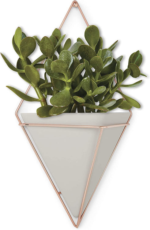 Umbra Trigg Hanging Planter Vase & Geometric Wall Decor Ceramic Container - Great For Succulent Plants, Air Plant, Mini Cactus, Faux Plants and More, Large, Concrete/Copper