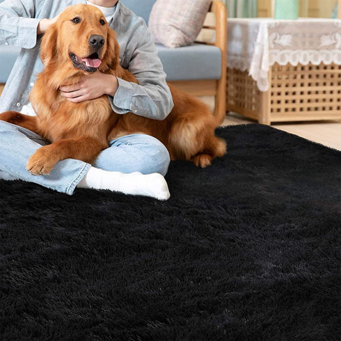 wxnzsl Fluffy Area Rugs for Bedroom, 3x5 feet Fuzzy Faux Fur Rug Living Room Carpets,Soft Furry Rugs for Kids /Baby/Girls Room and Nursery - Black