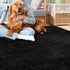 wxnzsl Fluffy Area Rugs for Bedroom, 3x5 feet Fuzzy Faux Fur Rug Living Room Carpets,Soft Furry Rugs for Kids /Baby/Girls Room and Nursery - Black