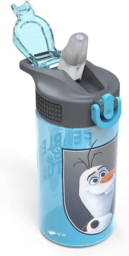 Zak Designs Disney Frozen 2 Kids Water Bottle Set with Reusable Straws and Built in Carrying Loops, Made of Durable Stainless Steel & Plastic, Leak-Proof Bottle Design (Elsa/Anna, BPA-Free, 2pc Set)
