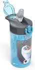 Zak Designs Disney Frozen 2 Kids Water Bottle Set with Reusable Straws and Built in Carrying Loops, Made of Durable Stainless Steel & Plastic, Leak-Proof Bottle Design (Elsa/Anna, BPA-Free, 2pc Set)