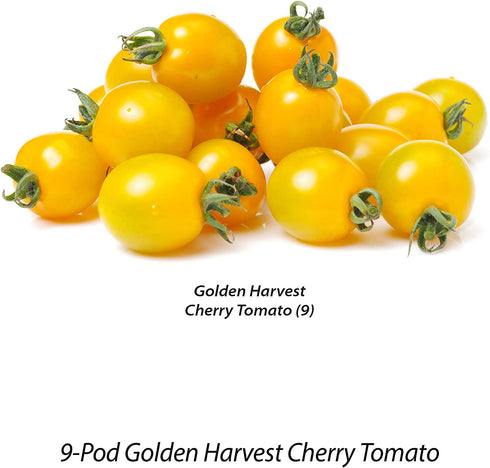 AeroGarden Golden Harvest Cherry Tomato, 9-pod