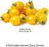 AeroGarden Golden Harvest Cherry Tomato, 9-pod