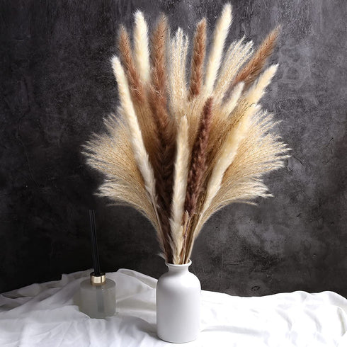 TOPHOOD 60 Pcs Dried Pampas Grass Decor -19inch Natural Pompas Floral/ Pompous for Flower Arrangements Wedding Home Decor(15 White & 15 Brown Grass& 30 Reed
