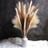 TOPHOOD 60 Pcs Dried Pampas Grass Decor -19inch Natural Pompas Floral/ Pompous for Flower Arrangements Wedding Home Decor(15 White & 15 Brown Grass& 30 Reed