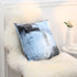 Alricc Blue Throw Pillow Cover,Pack of 4 Soft Velvet Decorative Cushion Cover for Sofa Bedroom Living Room (18X18 inch,Blue)
