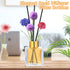 Diffuser Glass Bottles Set of 5 DIY Empty Clear Glass Fragrance Bottle with Gold Caps Reeds Sticks Vase Decorative Oil Diffusers for Home Office Desk Decoration Wedding Replacement Girl Women Gift