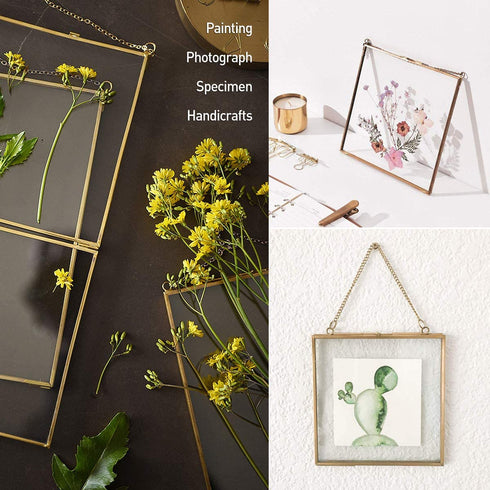 Daisylily 8x8 Inch Brass Hanging Photo Frame, Copper Glass Picture Frames Clip Modern Wall Decor Plant Specimen Artwork Ornament Display Gold Square