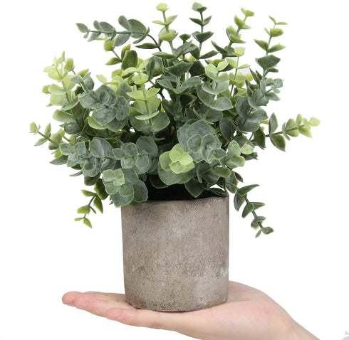 Flojery Mini Potted Plants Artificial Eucalyptus Boxwood Rosemary Greenery in Pots Faux Potted Herbs Small House Plants 8.3"-9" Tall for Indoor Greenery Tabletop Décor Centerpiece (Sprayed Eucalyptus)