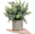 Flojery Mini Potted Plants Artificial Eucalyptus Boxwood Rosemary Greenery in Pots Faux Potted Herbs Small House Plants 8.3"-9" Tall for Indoor Greenery Tabletop Décor Centerpiece (Sprayed Eucalyptus)