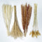 Pampas Grass 80 pcs 17.5 inch Natural Dried Pampas Grass - 15Pcs White Pampas & 15Pcs Brown Pampas & 30Pcs Reed Grass & 20Pcs Bunny Tail Grass,Fluffy stem Bouquet for Home Decor Wedding Boho Decor