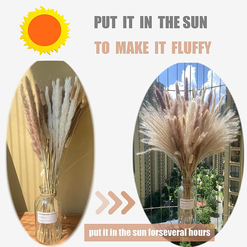 Pampas Grass 80 pcs 17.5 inch Natural Dried Pampas Grass - 15Pcs White Pampas & 15Pcs Brown Pampas & 30Pcs Reed Grass & 20Pcs Bunny Tail Grass,Fluffy stem Bouquet for Home Decor Wedding Boho Decor