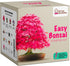 Grow Your Own Bonsai kit | Tree Plants & Seeds | Crafts Hobby Kits | Easily Grow 4 Types of Bonsai Trees with Our Complete Beginner Friendly Kit | Christmas Gift Ideas for Plant Lovers