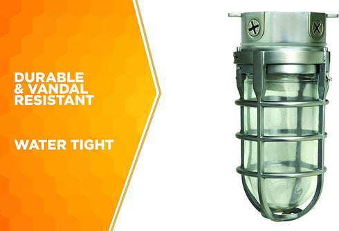 Woods L1706 Vandal Resistant Security Light With Ceiling Mount (150W Incandescent Bulb, Silver)