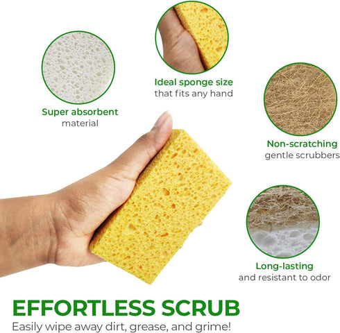 AIRNEX 18 Pack Biodegradable Natural Kitchen Sponge - Compostable Cellulose and Coconut Walnut Scrubber Sponge - Eco Friendly Sponges for Dishes