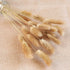 Natural Dried Bunny Tail Grass - 110~120 Stems Rabbit Tail Grass, Lagurus Ovatus for Boho Decor, Dried Pampas Grass Flower Arrangements Wedding Home Kitchen Office Decor (Nature)