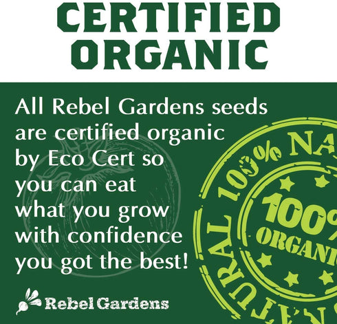 Heirloom Vegetable Seeds for Planting: 13 Varieties of Organic Non-GMO Open Pollinated Garden Seed - Weird and Rare Varieties Perfect for Kids and School Gardens