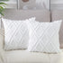Neelvin Pack of 2 Soft Plush Short Wool Velvet Decorative Throw Pillow Covers Cushion Case Pillowcase for Sofa Couch